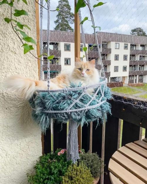 Наш балкон - это маленькая жемчужина дома. 01