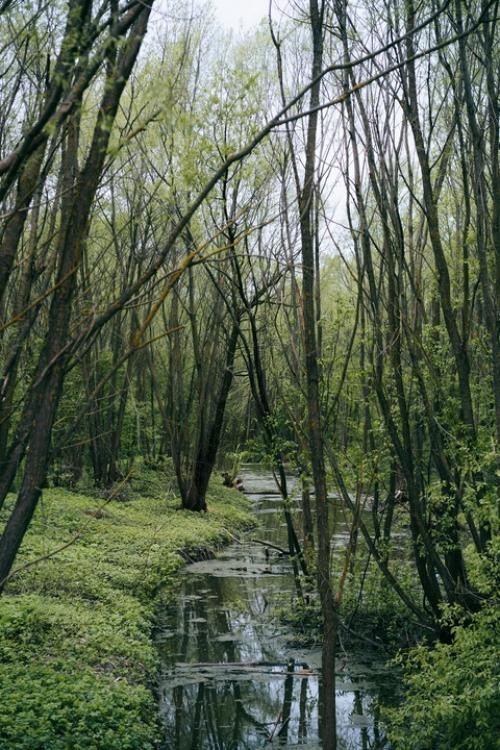 Про золотое кольцо на майских праздниках. 05