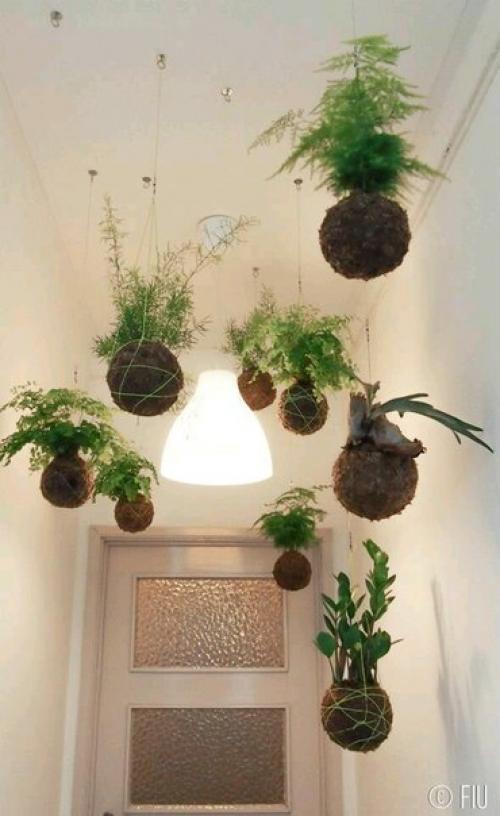 Висячие сады федора ван дер фалька? 02 Висячие сады федора ван дер фалька? 02