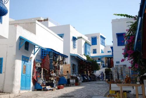 Тунис, сиди -Бу- Саид, город. 02