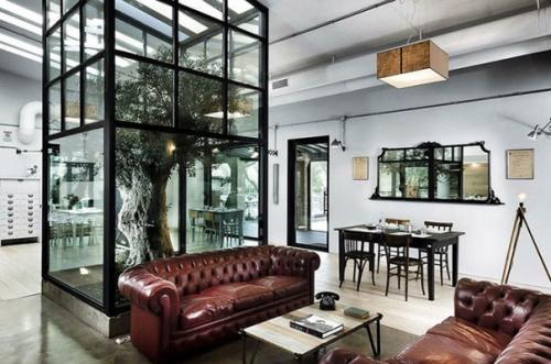 7 деревьев, которые Победили архитекторов и стали неотъемлемой частью построек. 05