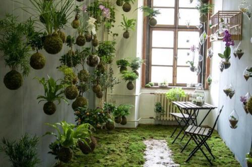 Висячие сады федора ван дер фалька? 04 Висячие сады федора ван дер фалька? 04