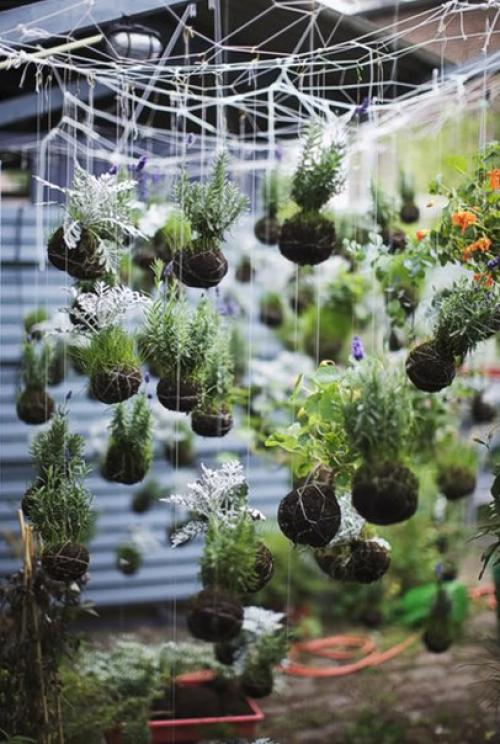 Висячие сады федора ван дер фалька? 01 Висячие сады федора ван дер фалька? 01