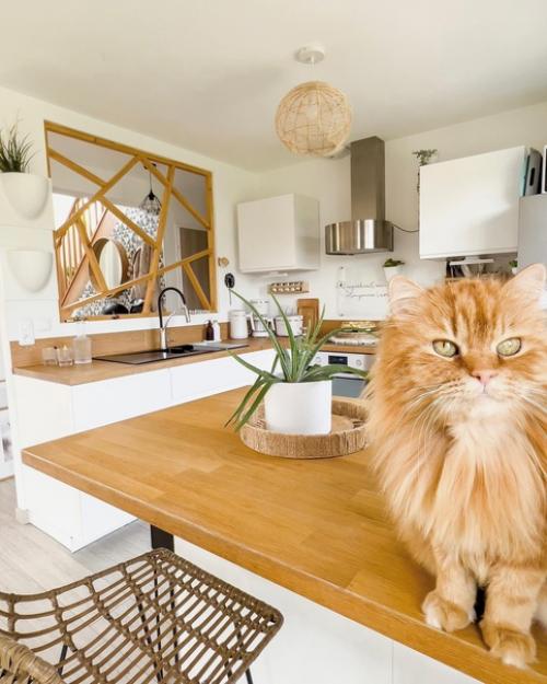 Дома молодой семьи, залитый естественным светом и выполненный в приятной природной цветовой гамме. 05