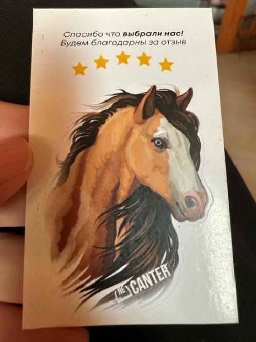 А что в вашем доме/быте может выдать в вас конника? 04