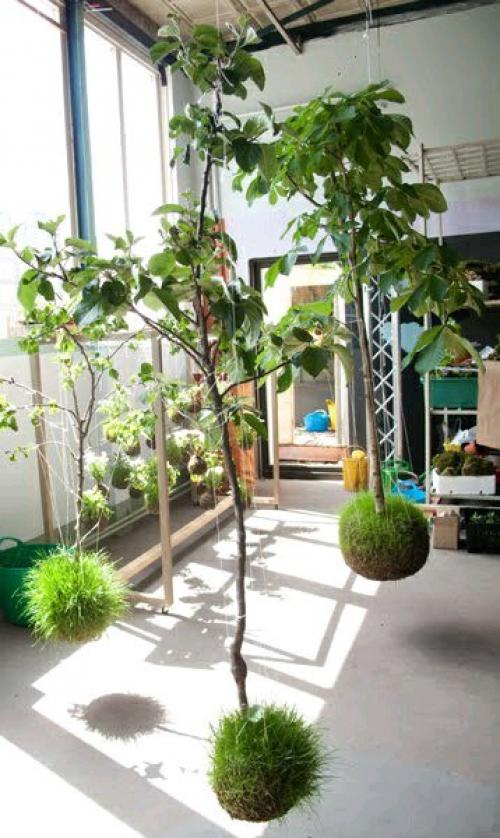 Висячие сады федора ван дер фалька? 07 Висячие сады федора ван дер фалька? 07