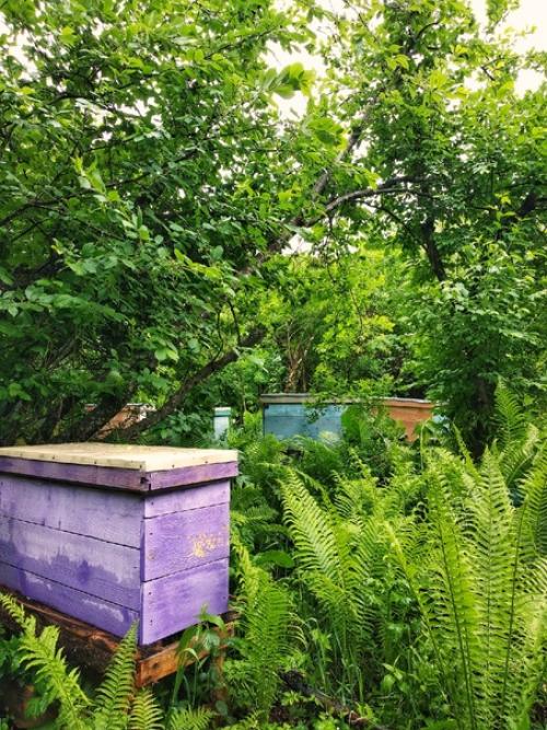 Знакомый прислал картинку с вопросом, как мне такая люстра. 05