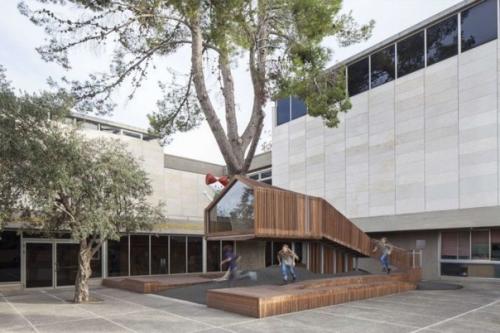 7 деревьев, которые Победили архитекторов и стали неотъемлемой частью построек. 07