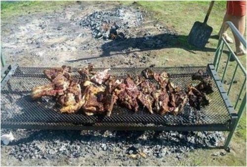 Дачный сезон: 10 забавных снимков о грядущих деньках за городом. 06