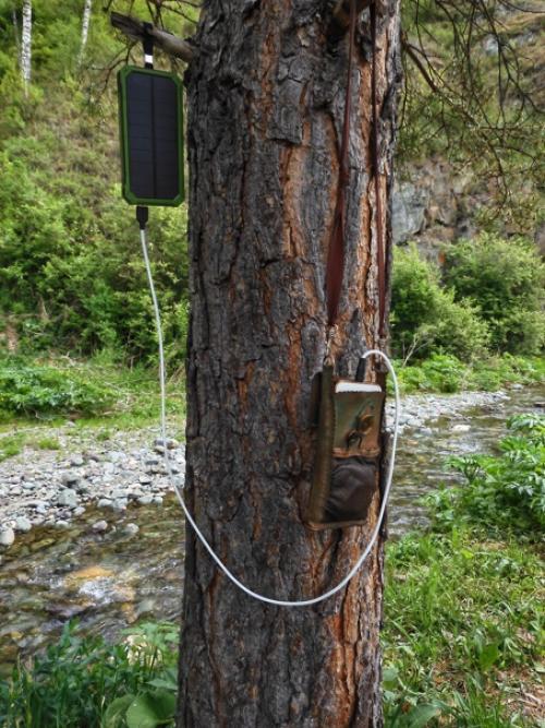 Знакомый прислал картинку с вопросом, как мне такая люстра. 03