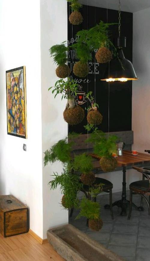 Висячие сады федора ван дер фалька? 05 Висячие сады федора ван дер фалька? 05