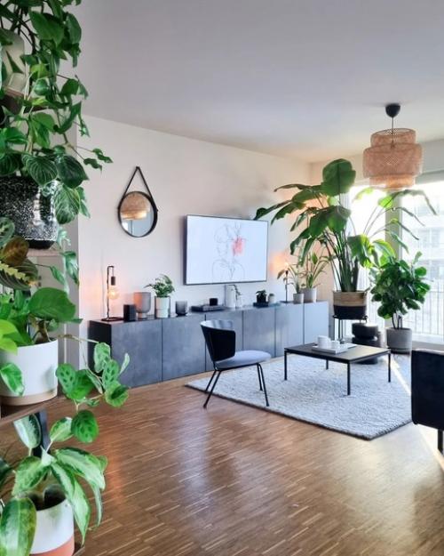 Современные городские джунгли: немецкая квартира с большим количеством растений. 03