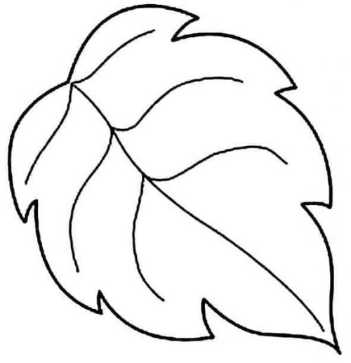 Стильный коврик в форме листа, созданный под вдохновением природы. 01