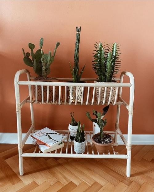 Во второй части к посту о квартире в Стамбуле, отдельно показываю комнатные растения в доме хозяйки. 01