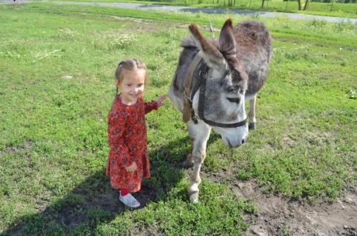 В усадьбе Фета прекрасно всё. 04