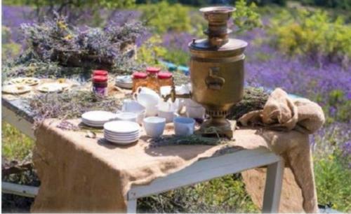 Крым приглашает на Фестиваль лаванды. 

