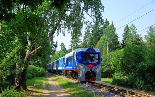 5 небанальных мест Подмосковья: где посмотреть на страусов, старинных плюшевых мишек и водородную бомбу. 02