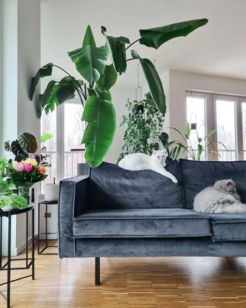 Современные городские джунгли: немецкая квартира с большим количеством растений. 02