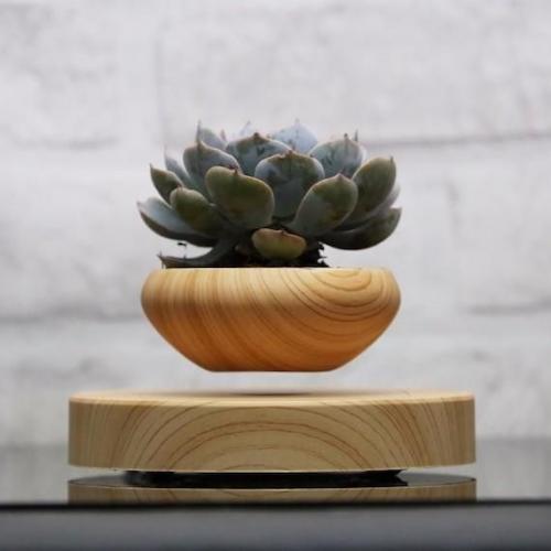 В интерьере квартиры в ЖК Новокрасково будет хорошо смотреться парящий горшок сложной многогранной формы. 06