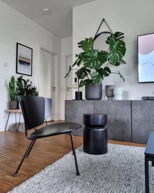 Современные городские джунгли: немецкая квартира с большим количеством растений. 05