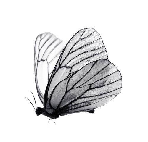 \u2018,: it's Dark and Cold in Here, Miss. 02