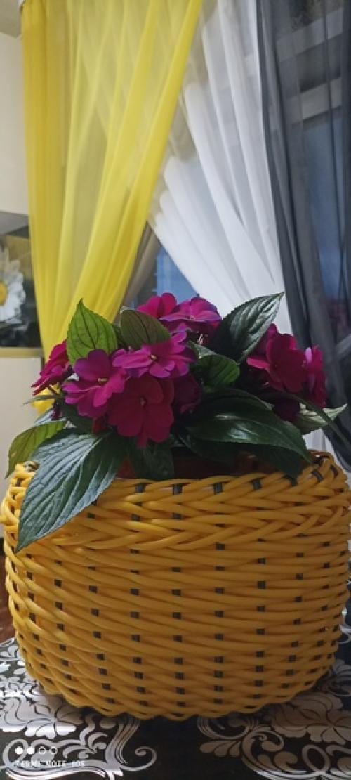 И снова голова не даёт покоя рукам. 03