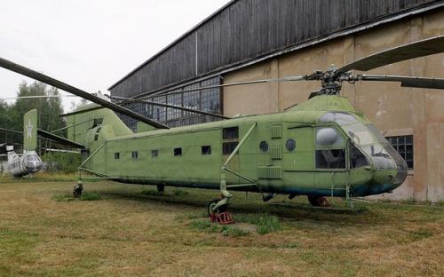 5 небанальных мест Подмосковья: где посмотреть на страусов, старинных плюшевых мишек и водородную бомбу. 03