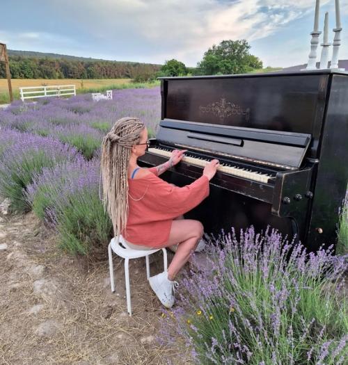 За 4. 5 года что я нахожусь в таком чудесном месте и в первые сейчас я оказалась на ловандовых полях. 04
