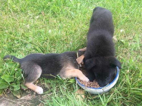 Событие дня.   Вот такая умилительная сценка осталась в прошлом, потому что Люся уехала домой, а без неё все то же самое уже не так весело. 01