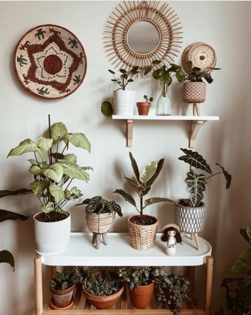 Во второй части к посту о квартире в Стамбуле, отдельно показываю комнатные растения в доме хозяйки. 06