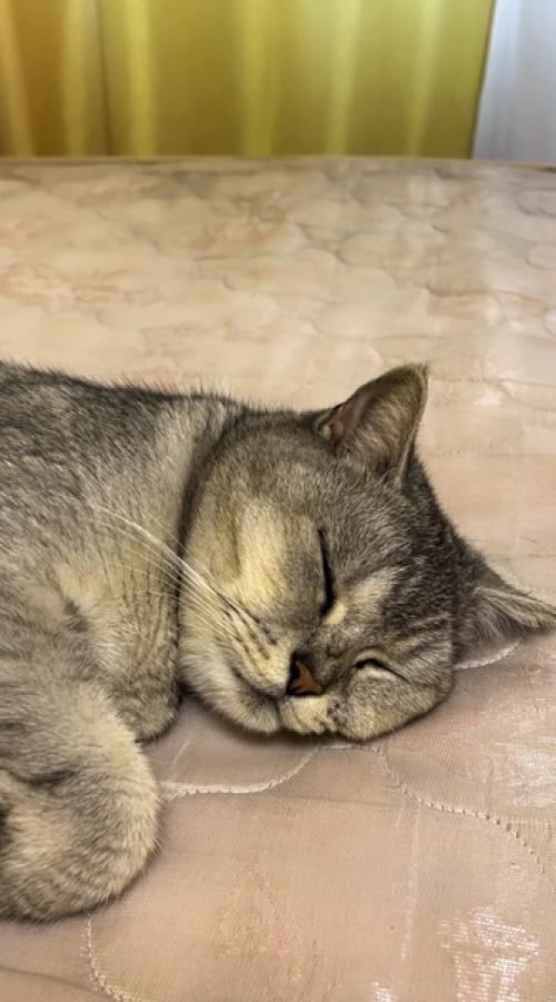 Книги?  А вы знаете, что книги любят заботу и правильное хранение? 04