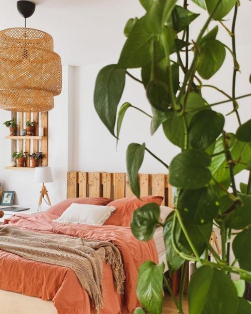 Как украсить свой дом растениями. 04