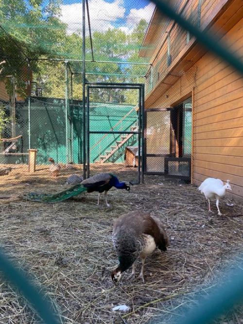 Продолжу тему мини - путешествий для этого лета. 08 Продолжу тему мини - путешествий для этого лета. 08