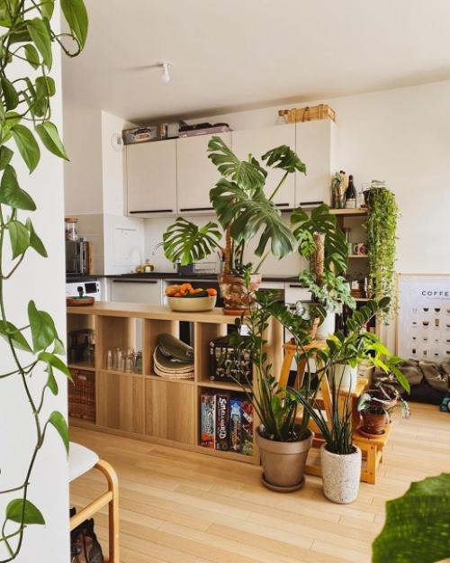 Как украсить свой дом растениями. 06