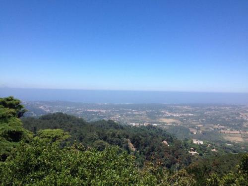 Первым заходом в нашей вечерней трансляции замок пена. 04