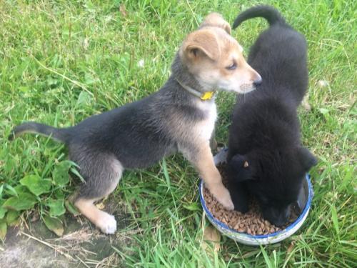 Событие дня.   Вот такая умилительная сценка осталась в прошлом, потому что Люся уехала домой, а без неё все то же самое уже не так весело.