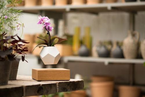 В интерьере квартиры в ЖК Новокрасково будет хорошо смотреться парящий горшок сложной многогранной формы.