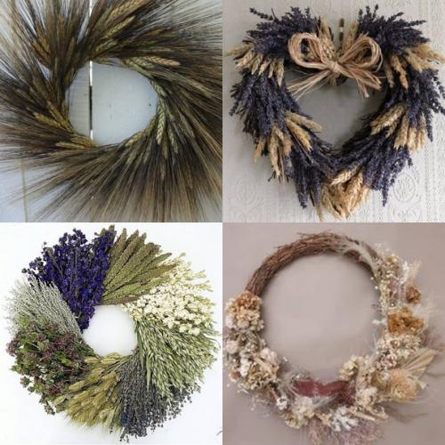 Полевые цветы.  Полевые. 08