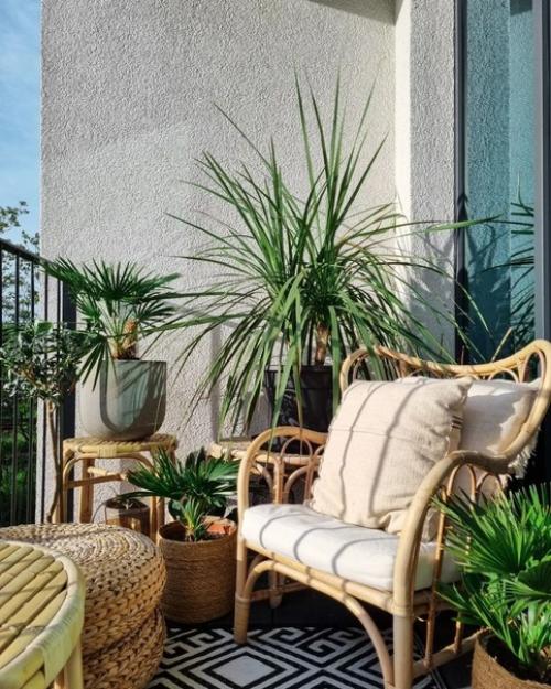 Современные городские джунгли: немецкая квартира с большим количеством растений. 01