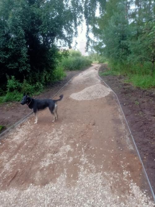 Визуальные заметки о дорогах. 03