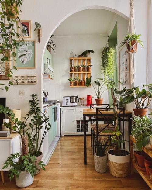 Как украсить свой дом растениями. 01
