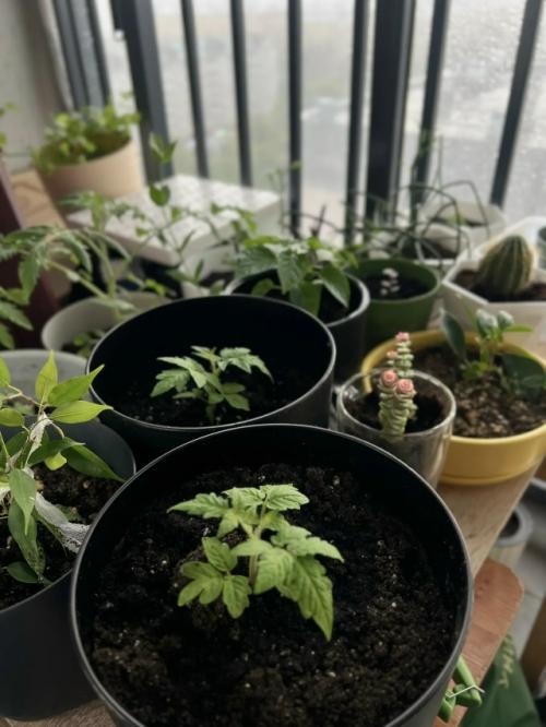Ну вот и нас накрыло. 
