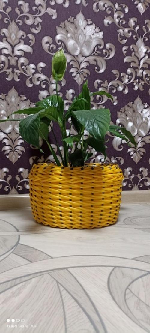 И снова голова не даёт покоя рукам. 01