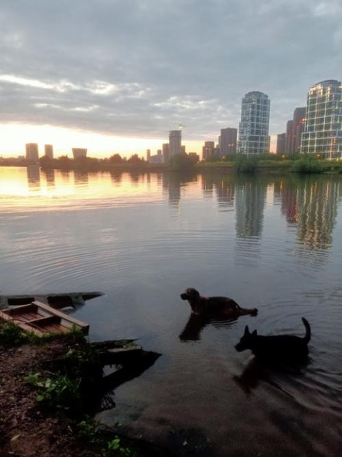 Визуальные заметки о дорогах. 07