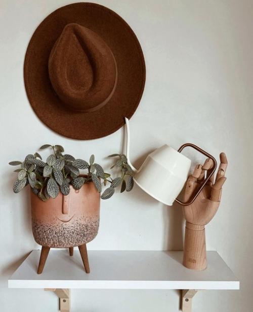 Во второй части к посту о квартире в Стамбуле, отдельно показываю комнатные растения в доме хозяйки. 02