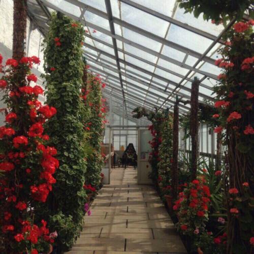 Как создать уют в доме? 01