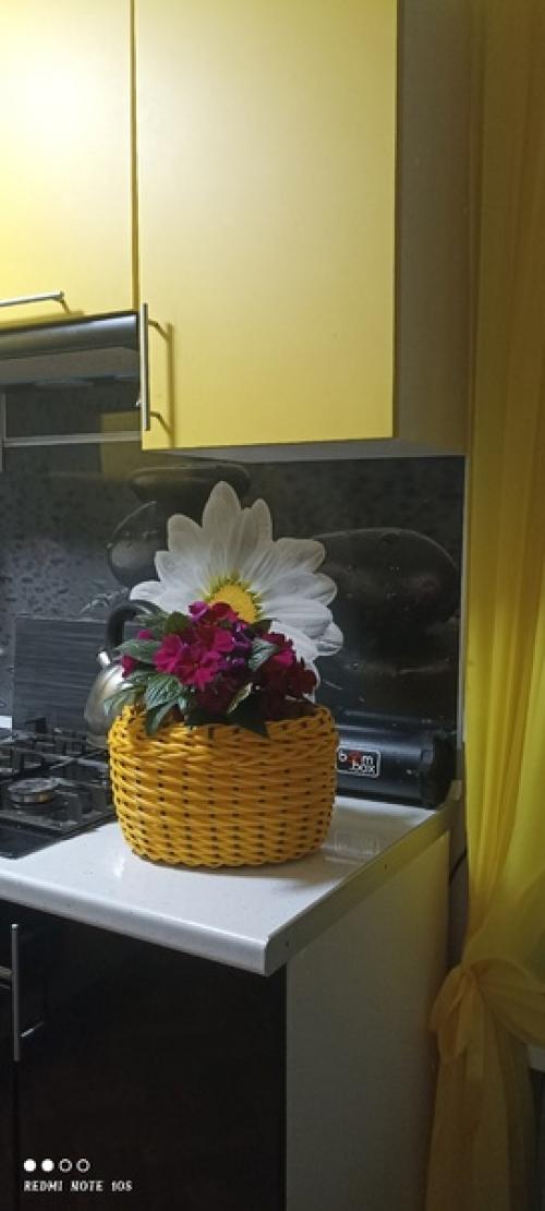 И снова голова не даёт покоя рукам. 04