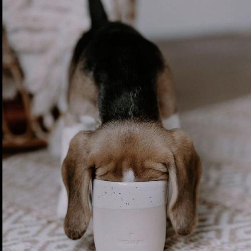 Уют в доме - это не только красивый интерьер, но и комфорт. 03