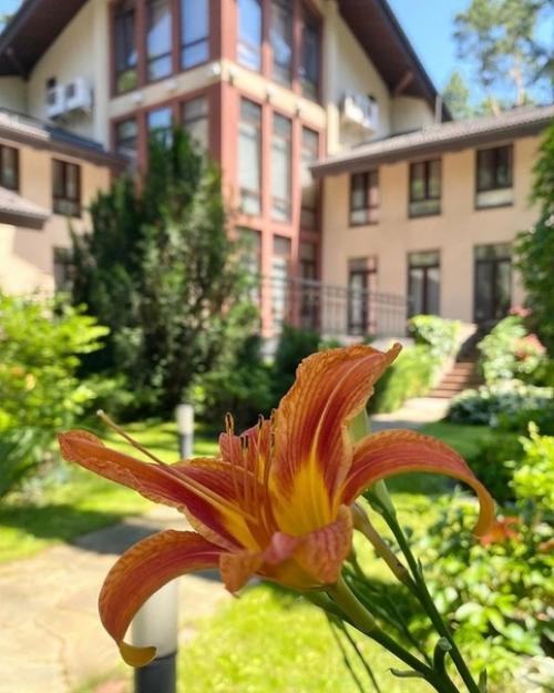 София Ротару показала свой дом за 1 млн долларов! 02