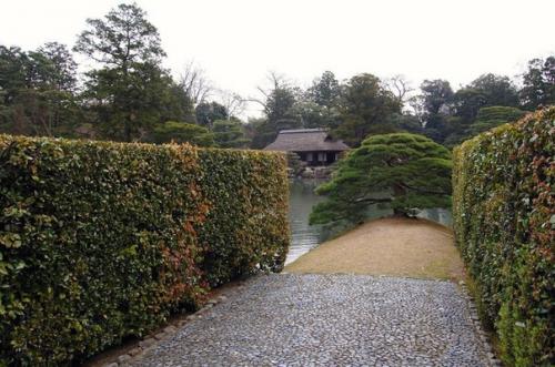 Сад императорской виллы кацура рикю в Киото. 07